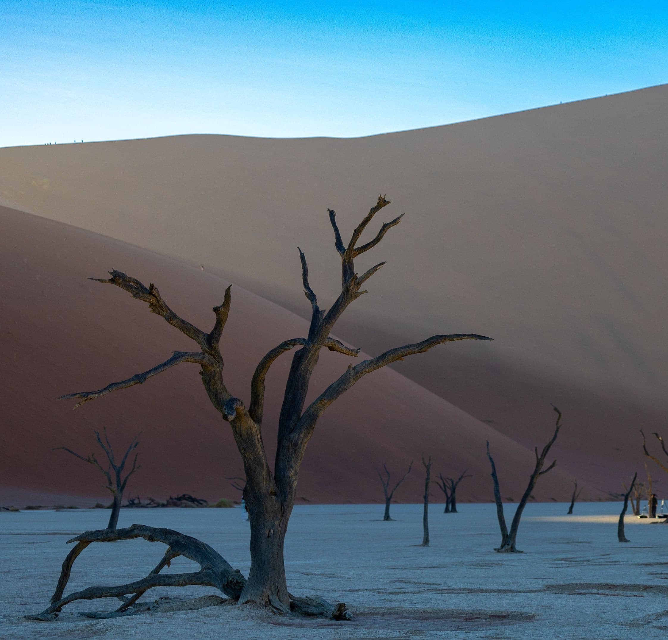 Namib Desert / Sossusvlei region
