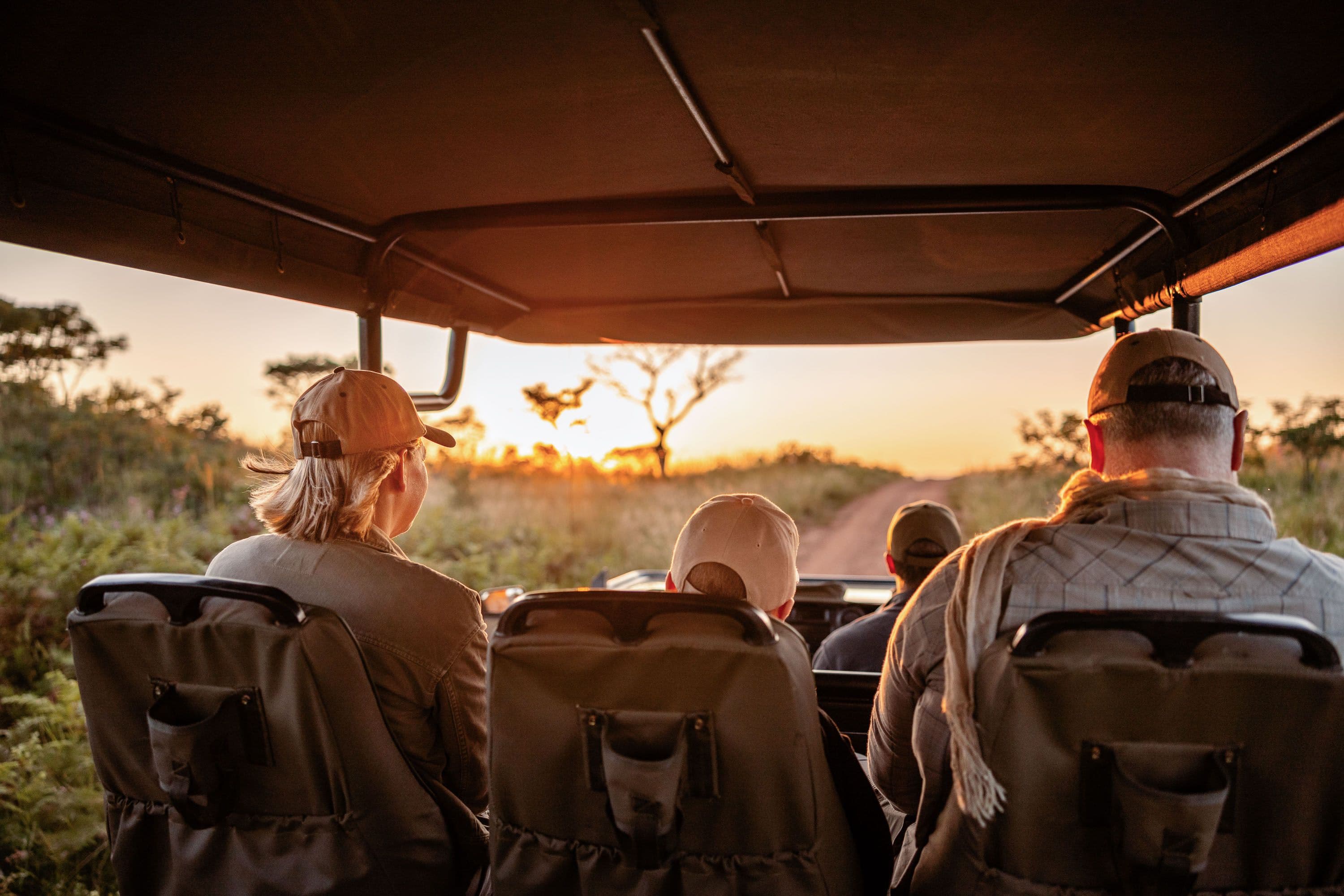 Mhondoro Game Drives