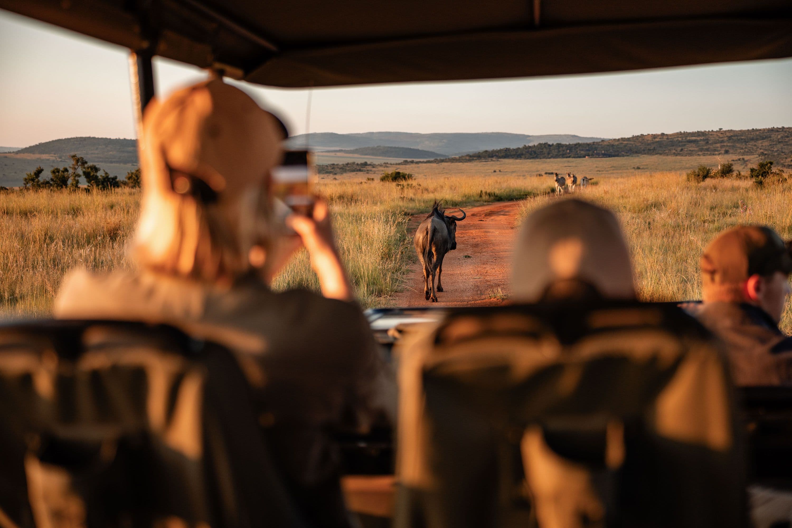 Mhondoro Game Drives
