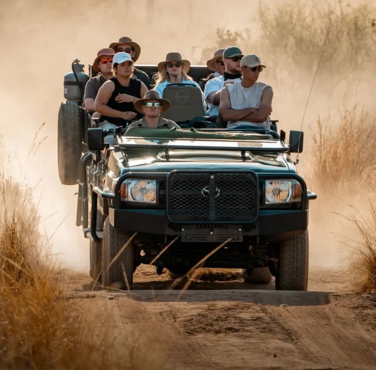 evening game drive