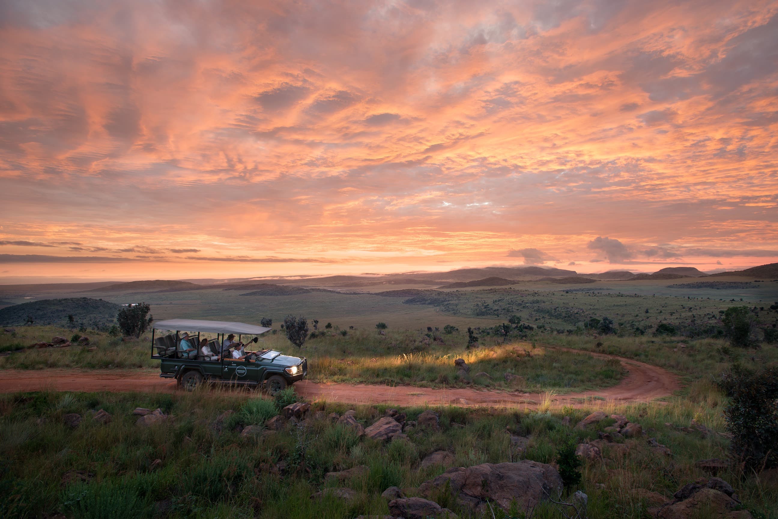 Safari