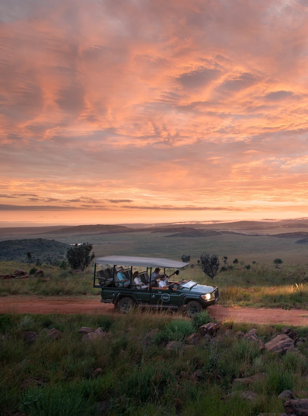 Safari