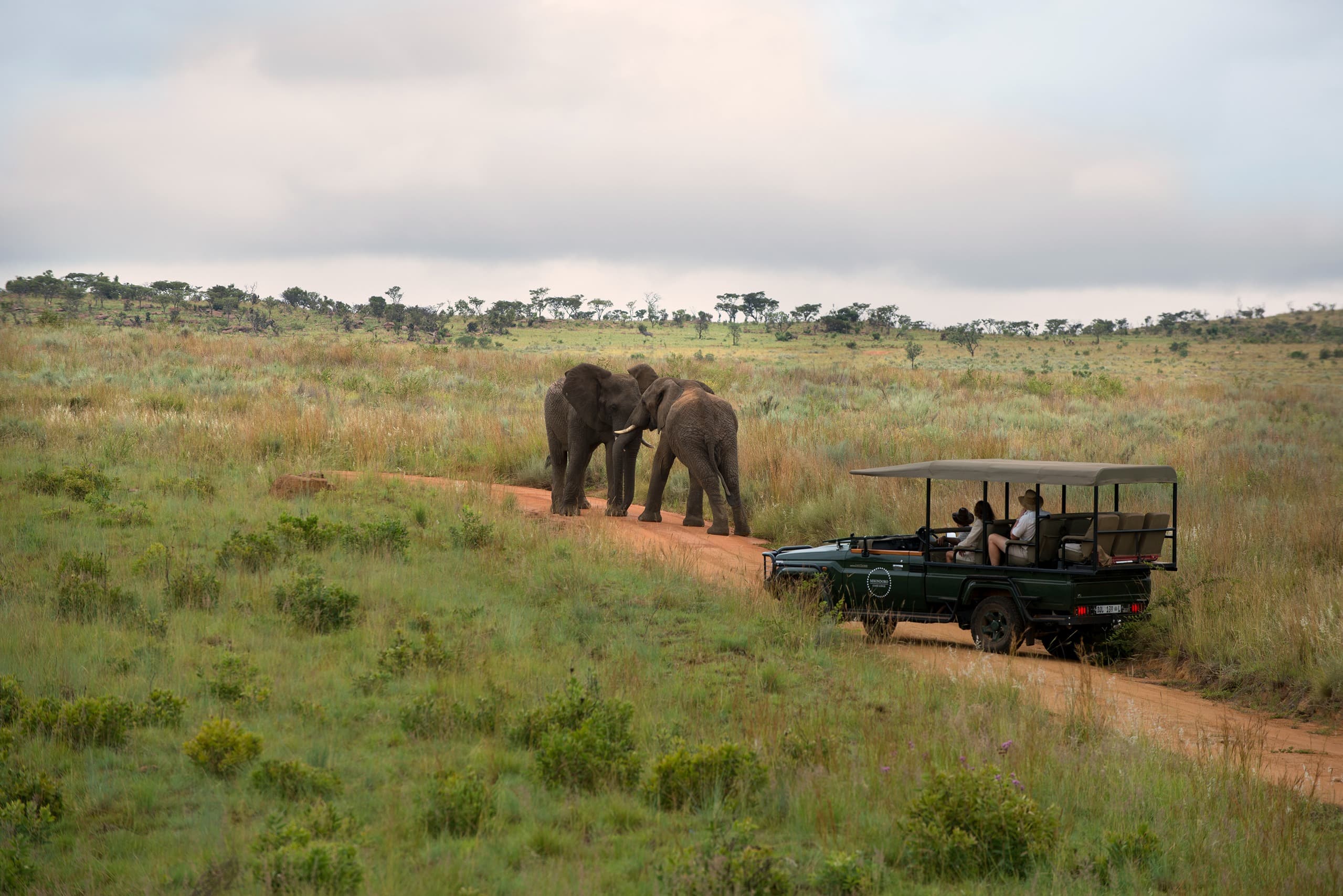 Mhondoro Game Drives