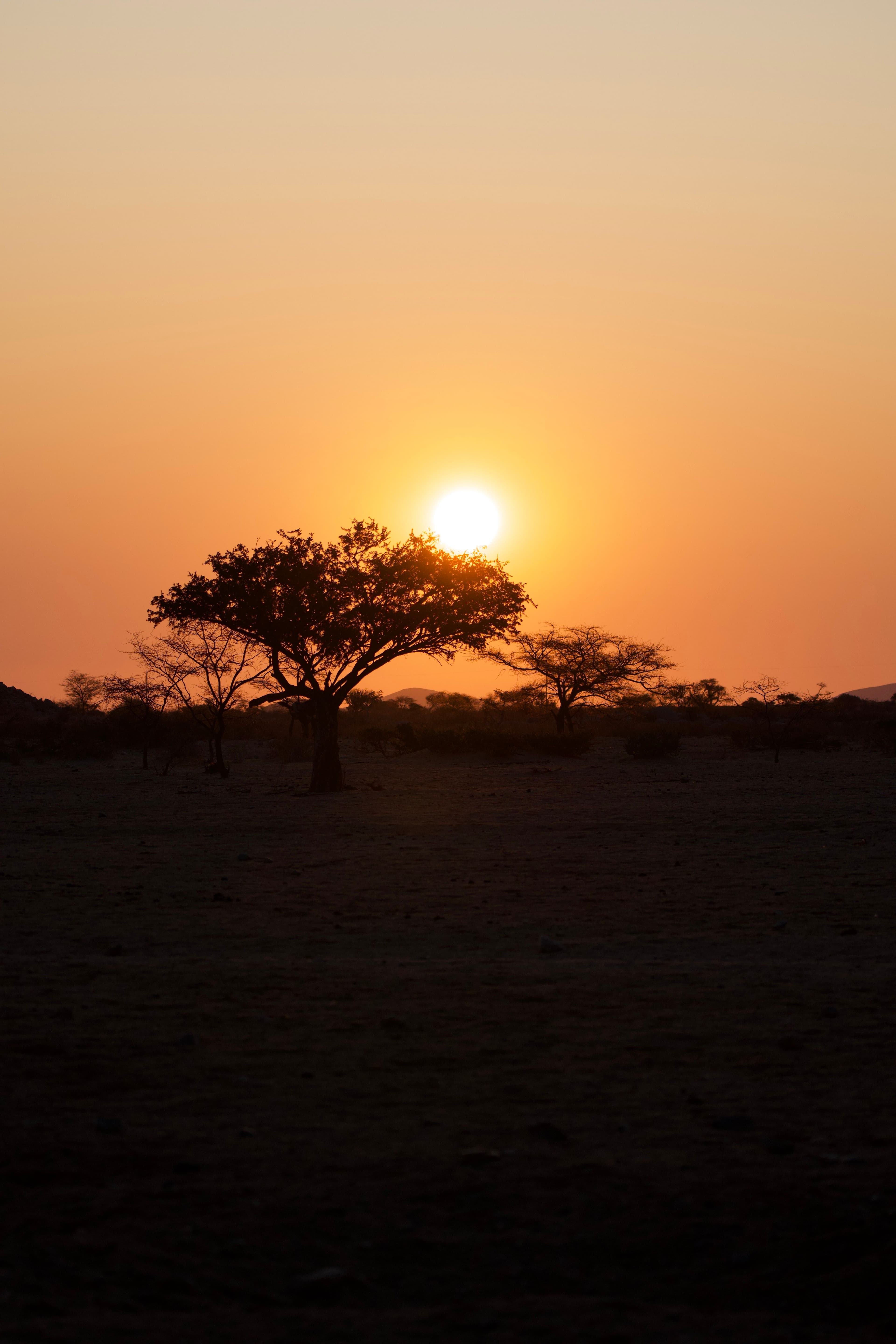 Central Namibia / Waterberg region