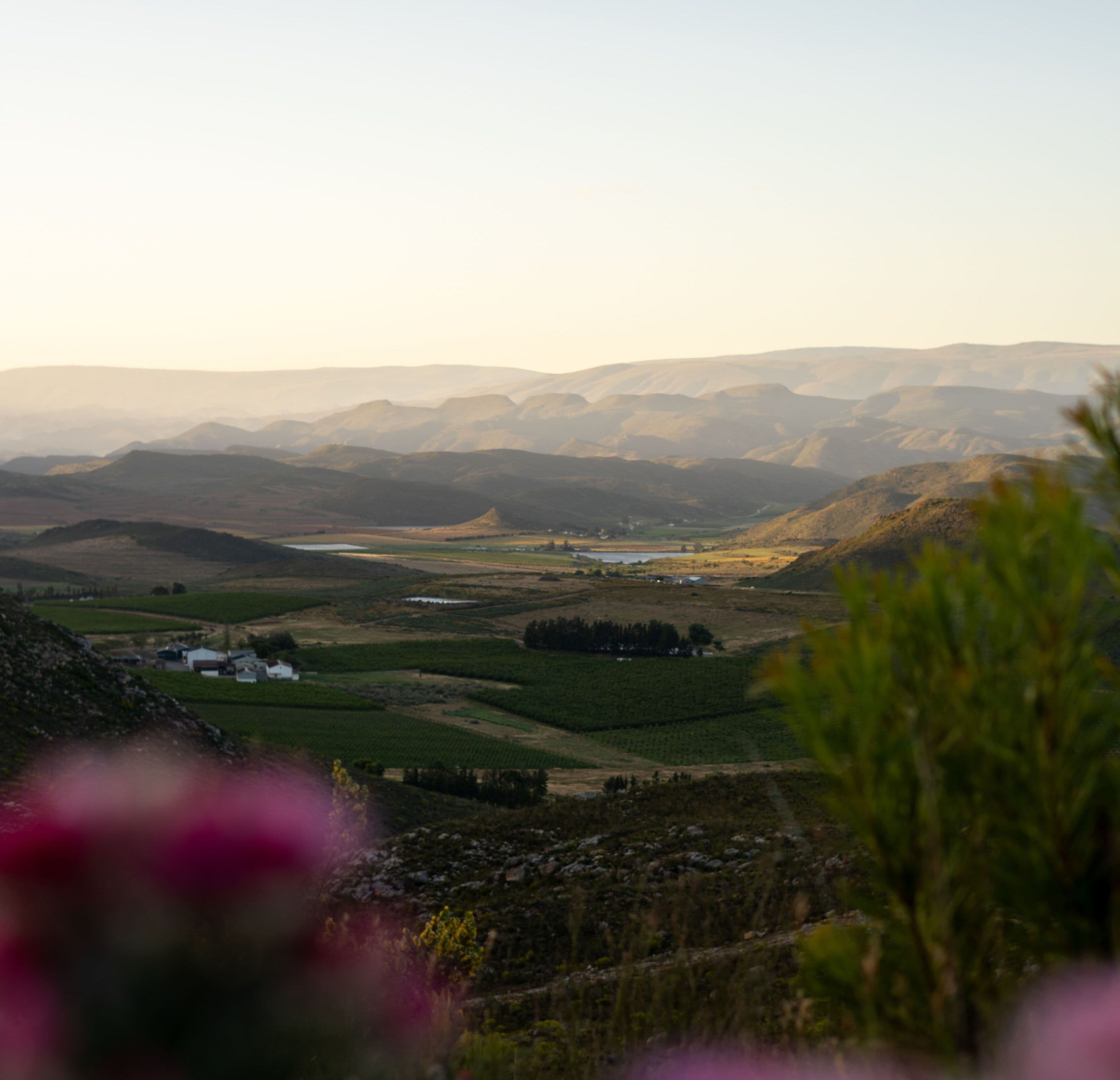 Montagu and the inland Cape