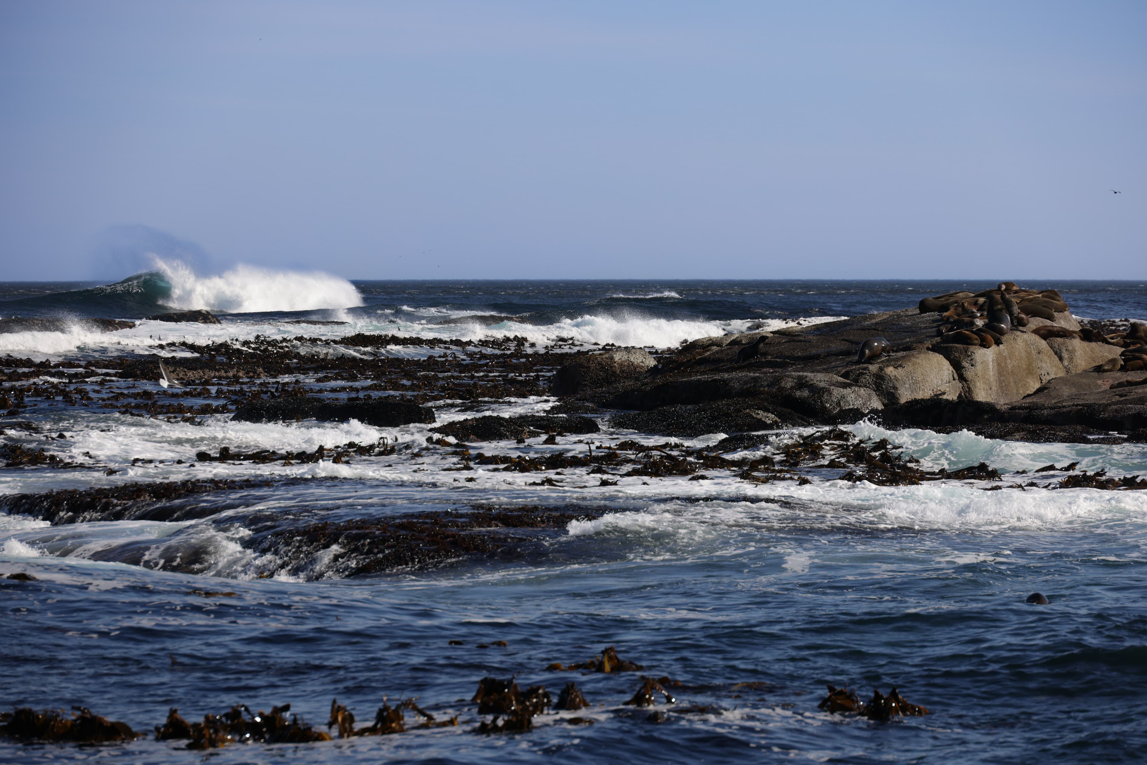 Paternoster and the West Coast