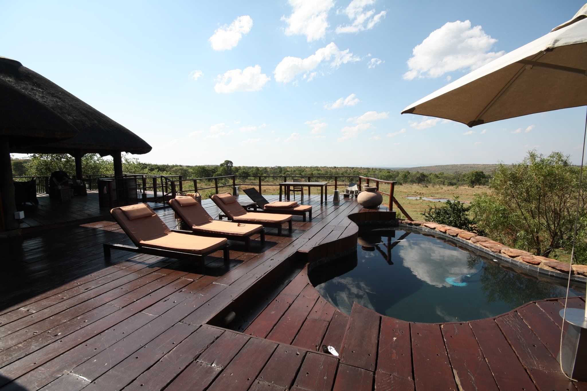Legacy Mhondoro