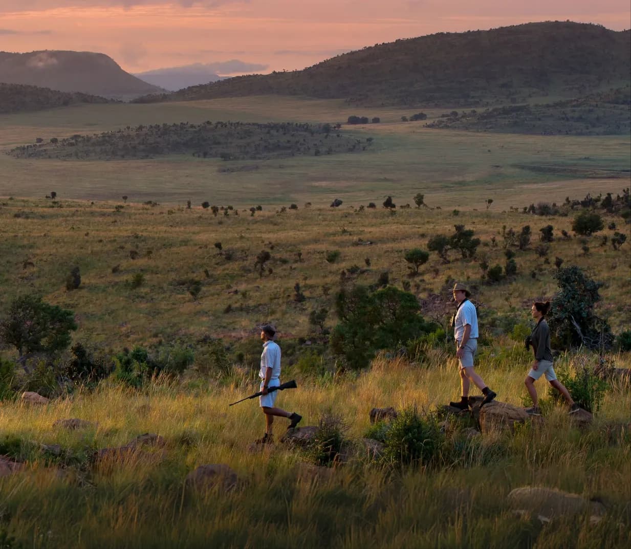 Bush Walks