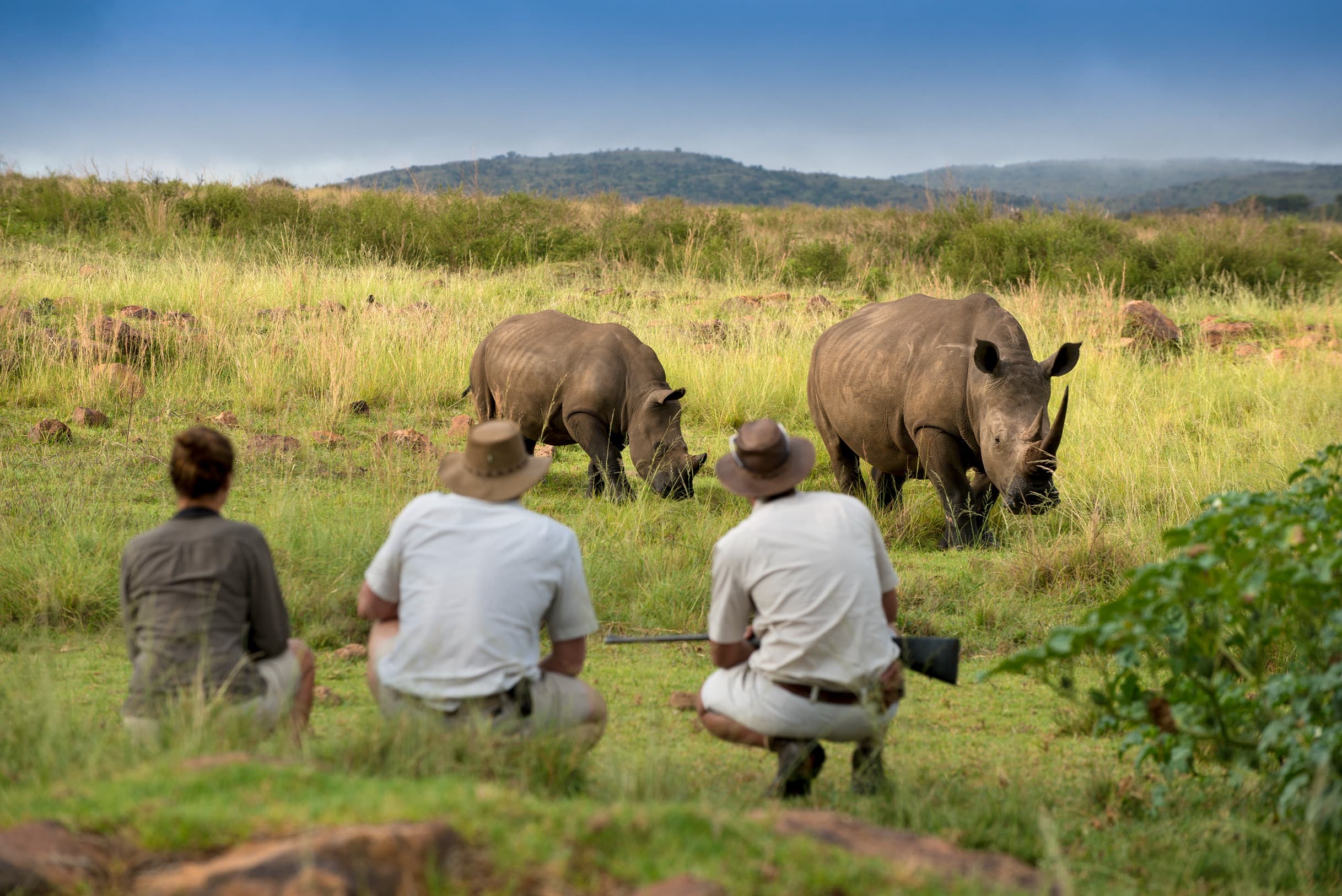 Mhondoro Bushwalks