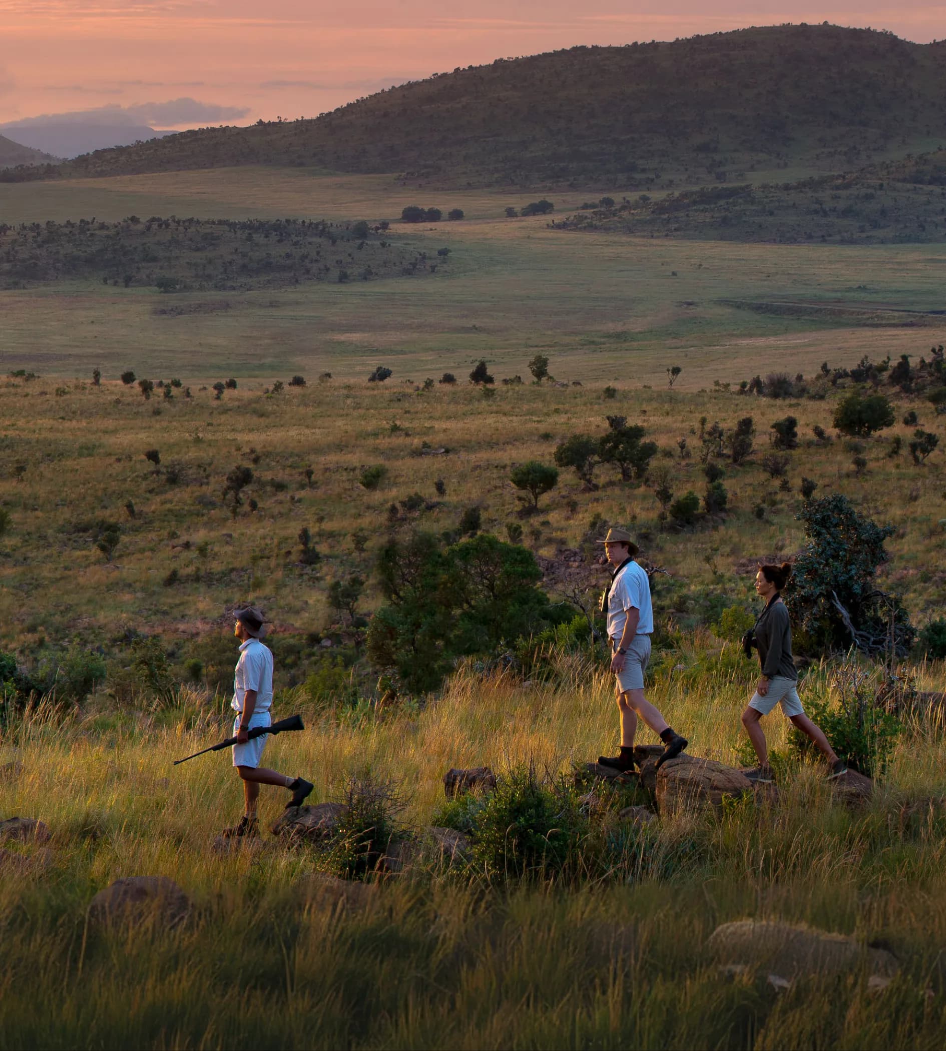 Bush Walks