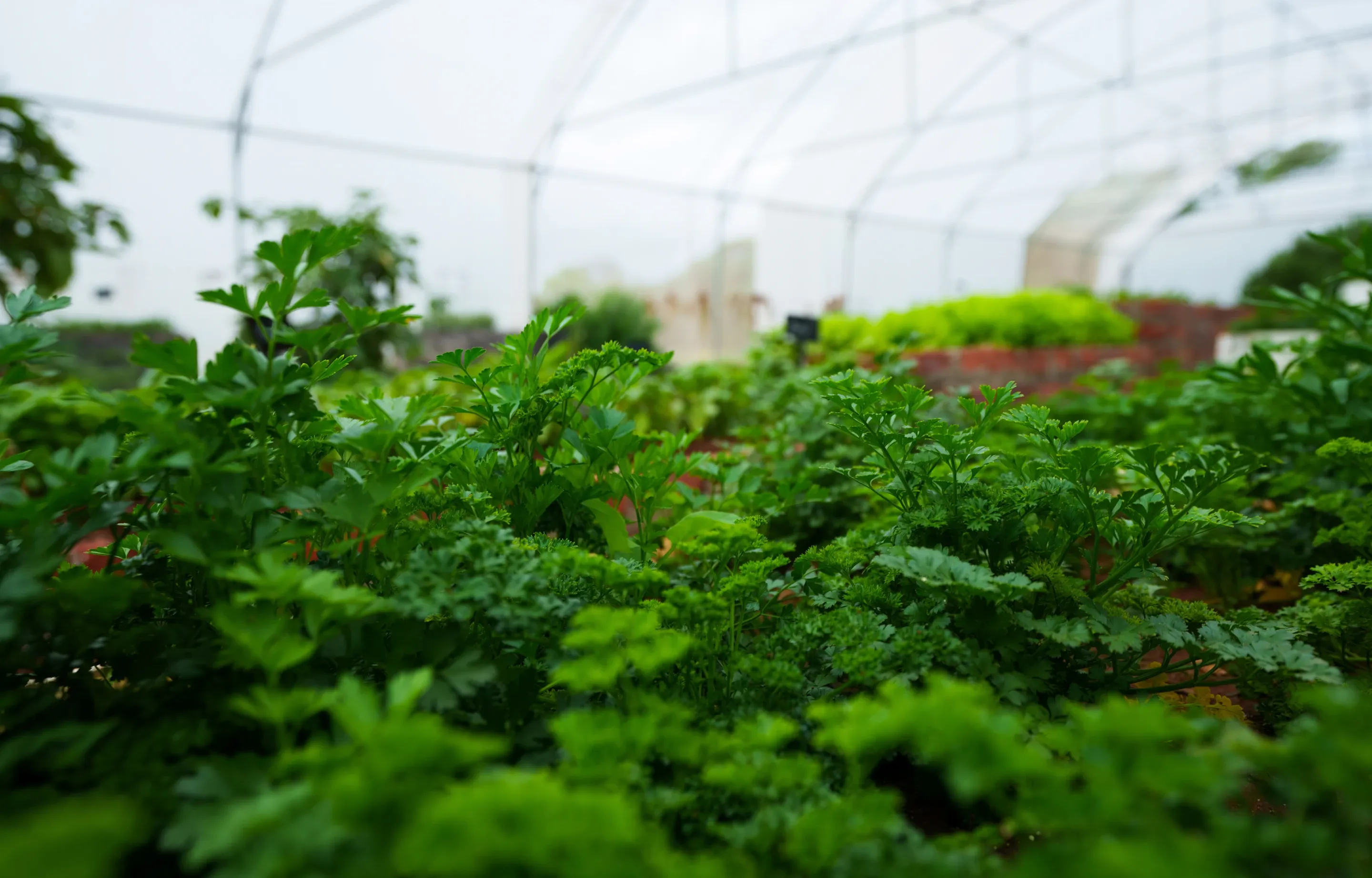 Eco-farm & Farmhouse Project
