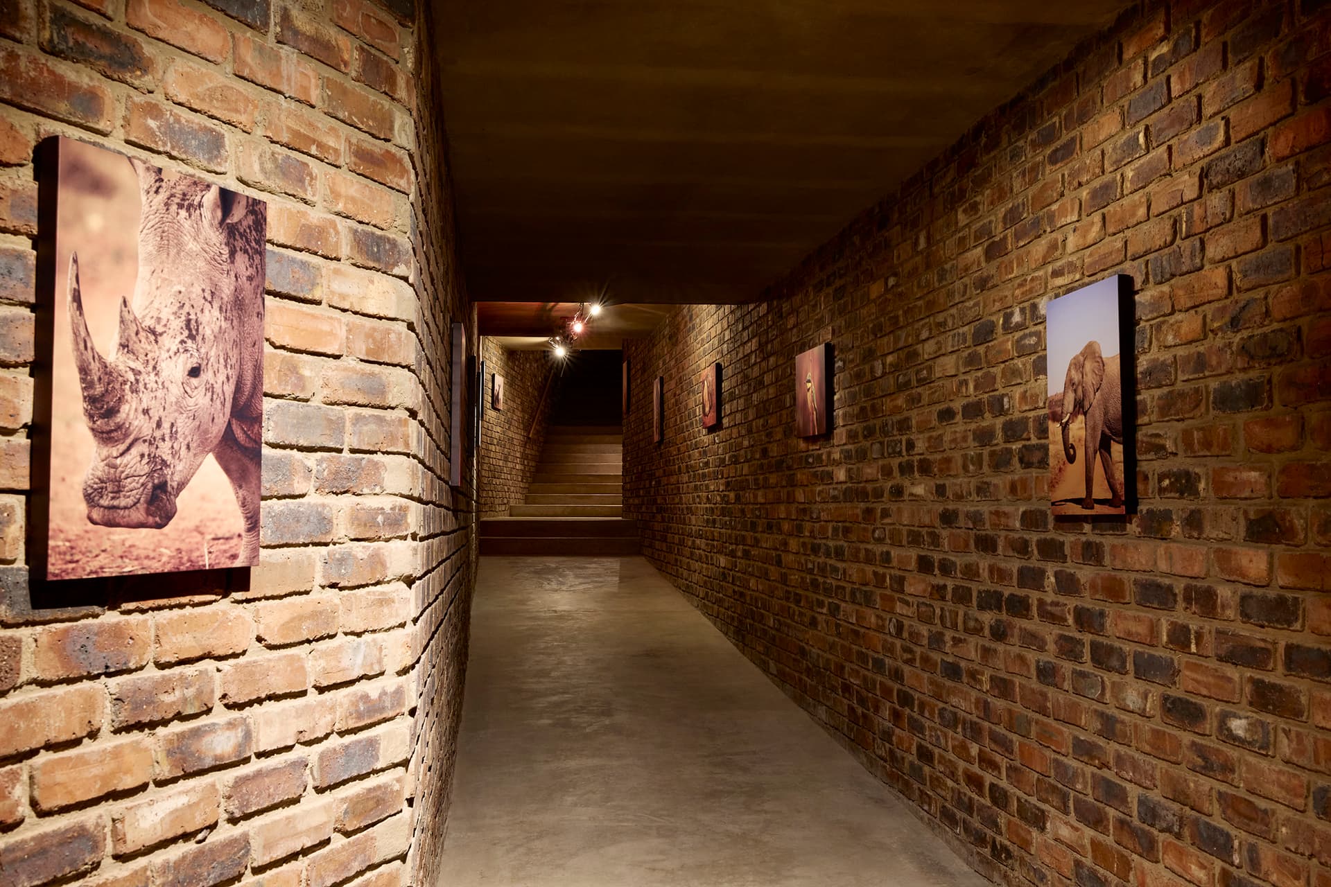 Gallery Media