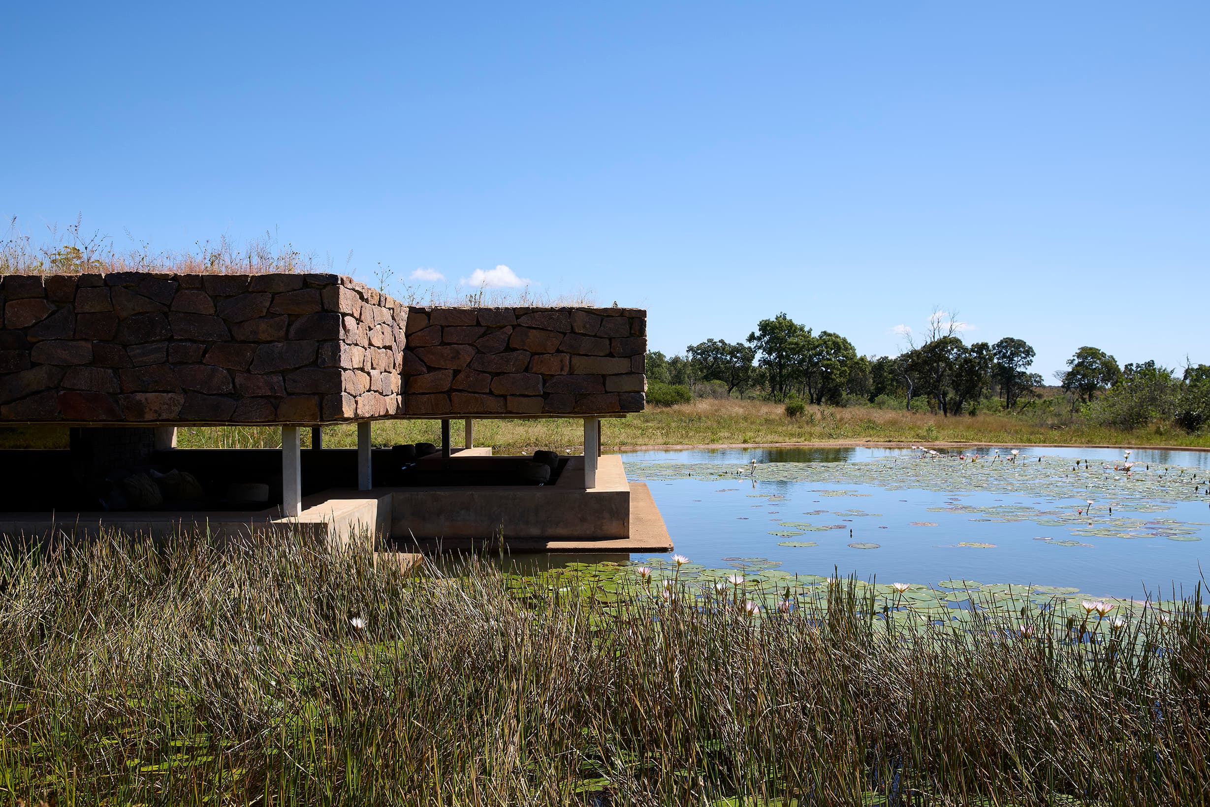 mhondoro hide