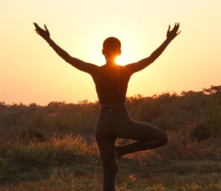 wellness