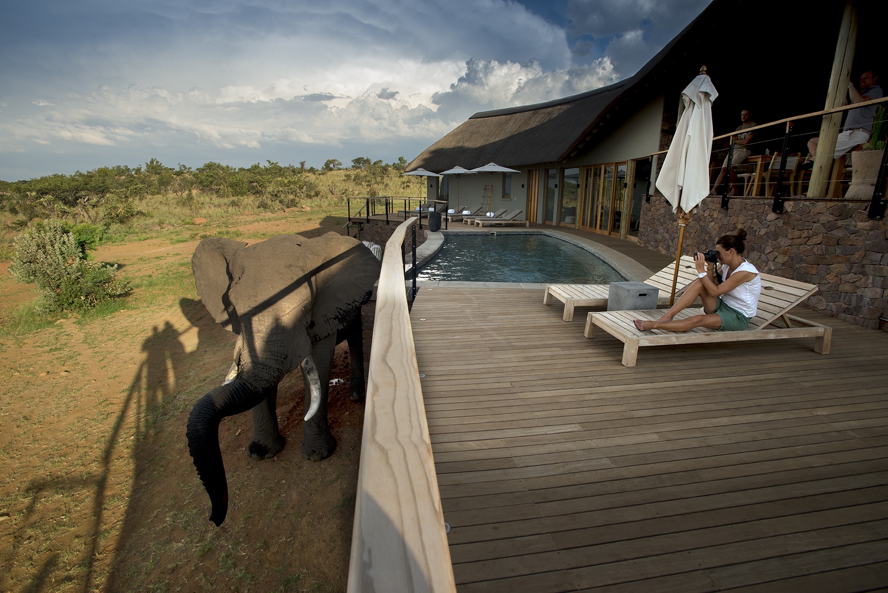 LODGE GALLERY - Mhondoro Safari Lodge & Villa