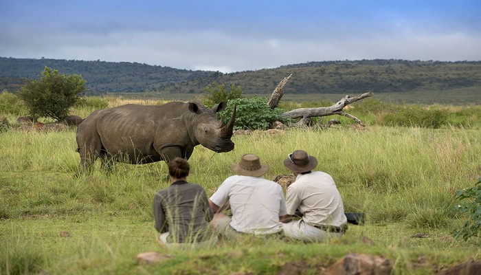 Mhondoro Safari Lodge and Villa, Rangers Rhino Tracking Bush walk