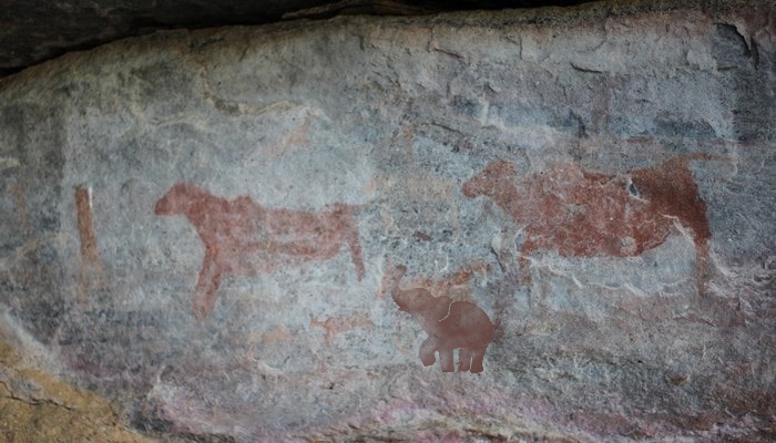 Mhondoro-Game-Lodge-Rock-Art-Welgevonden (1)