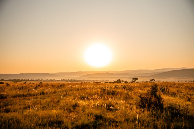 Mhondoro Safari Lodge - Pôr do sol sobre a Savana