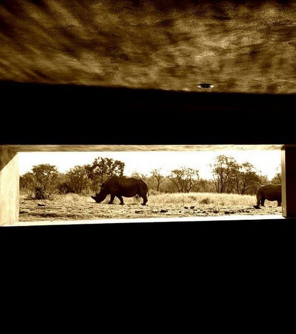 Underground game viewing hide at Mhondoro Safari Lodge