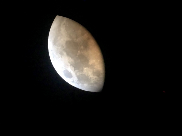 The Moon's surface showing impact craters from its formation