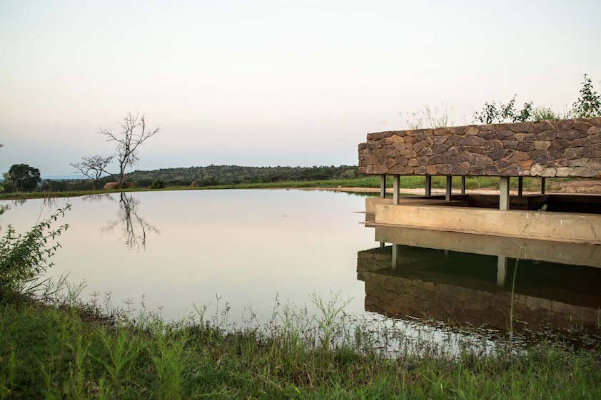 Wildlife photography from the Mhondoro Waterhole Hide